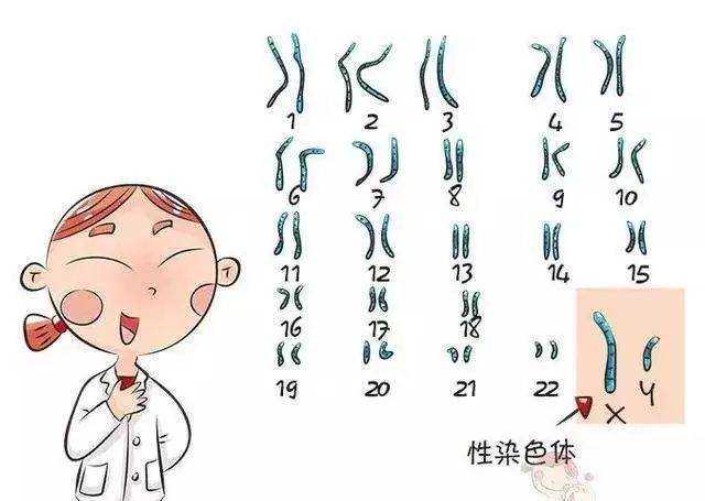 上海供卵三代试管婴儿医院成功率多少钱一个