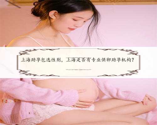 上海助孕包选性别，上海是否有专业供卵助孕机构？