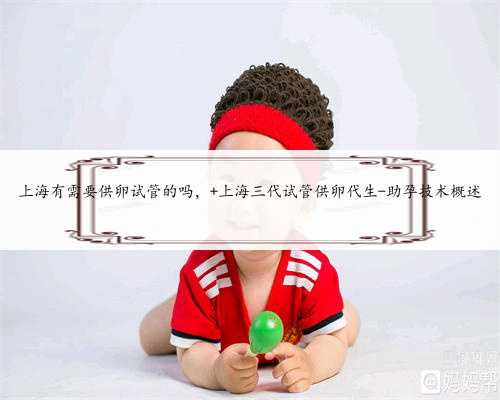 上海有需要供卵试管的吗， 上海三代试管供卵代生-助孕技术概述