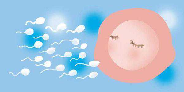 2022宁波市妇女儿童医院可以做供卵试管婴儿吗？浙江供卵试管婴儿医院排名